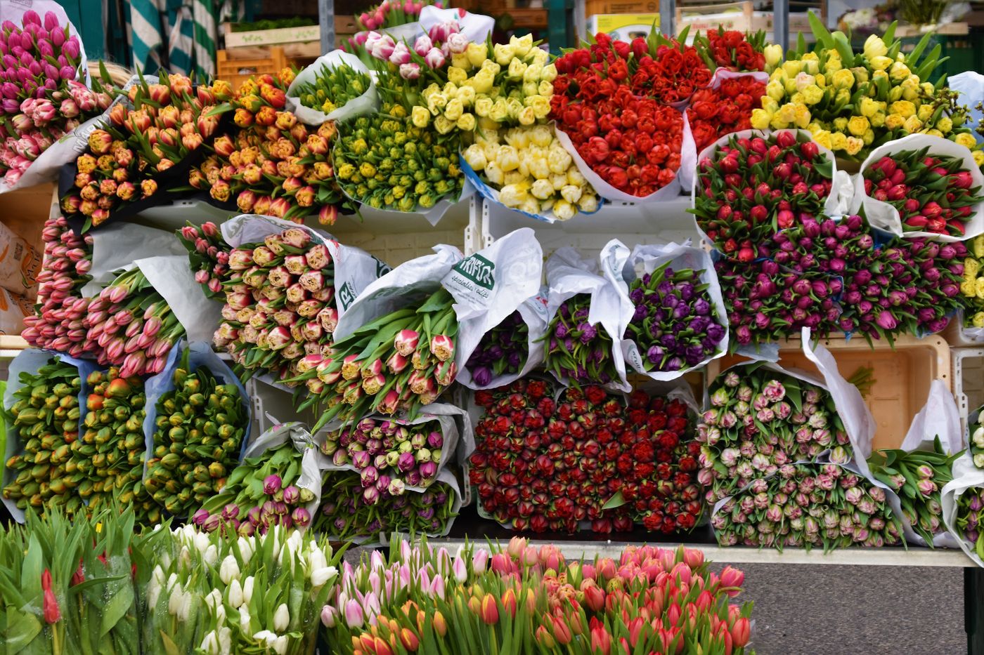 Florist